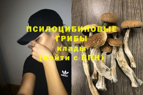 мет Елизово