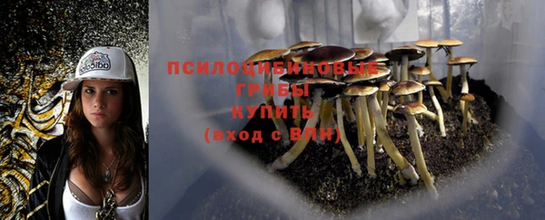 таблы Елабуга