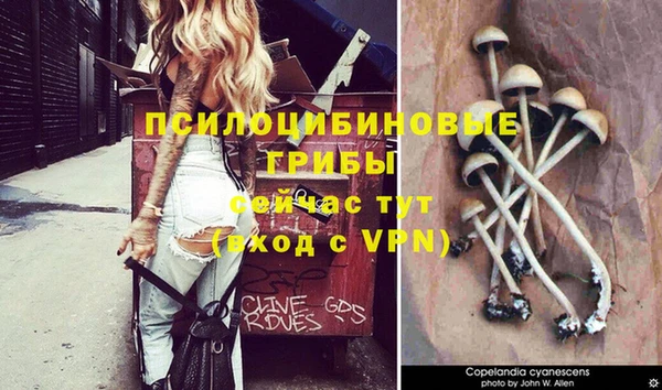 мет Елизово