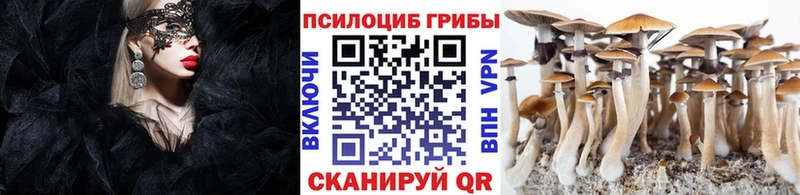 Галлюциногенные грибы прущие грибы Вышний Волочёк