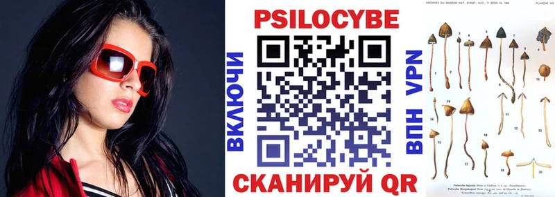 нарко площадка клад Вышний Волочёк Галлюциногенные грибы Magic Shrooms